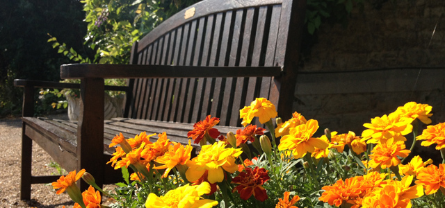 The Old Vicarage Care Home Bench & Flowers